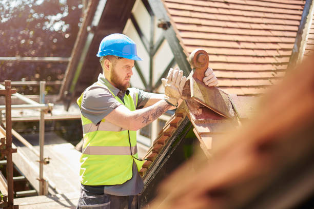 Best Roofing Contractor Near Me  in North Pearsall, TX